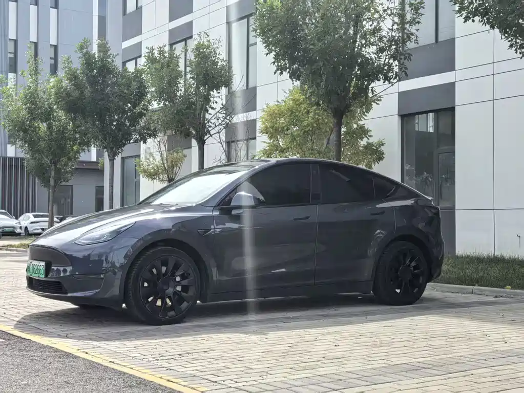 Tesla Model Y — фото 3