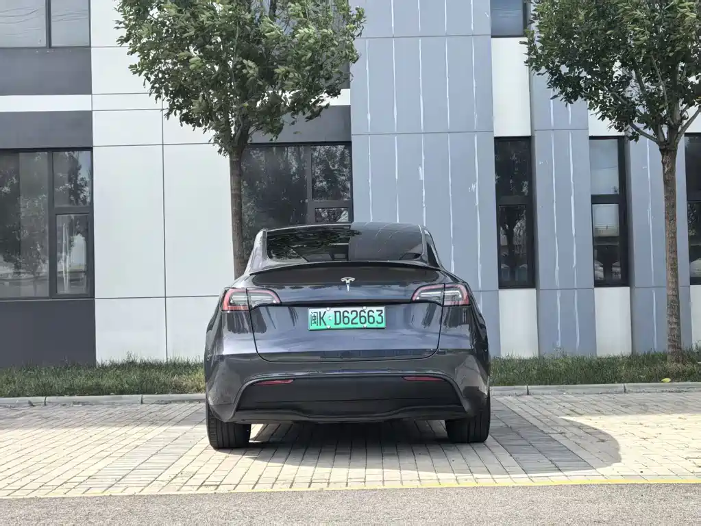 Tesla Model Y — фото 8