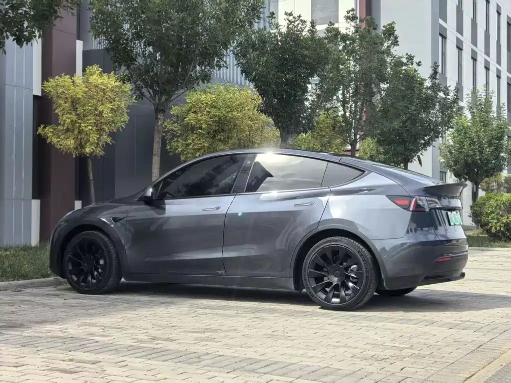 Tesla Model Y — фото 9