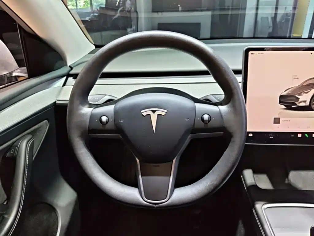 Tesla Model Y — фото 11
