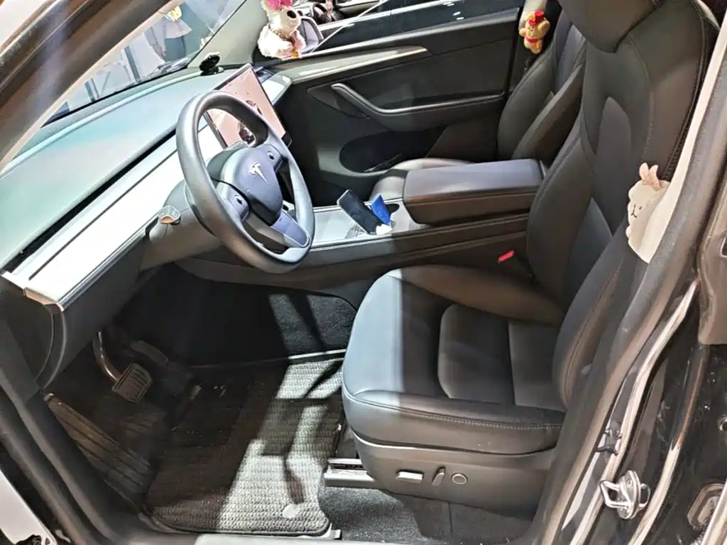 Tesla Model Y — фото 15