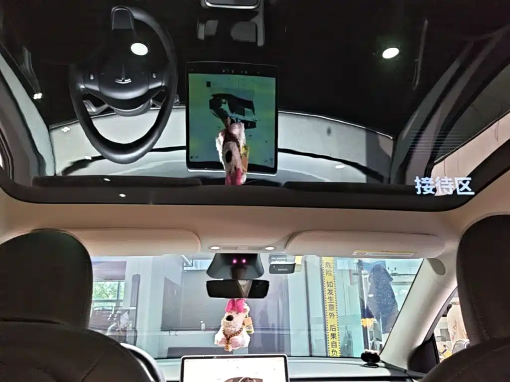 Tesla Model Y — фото 18