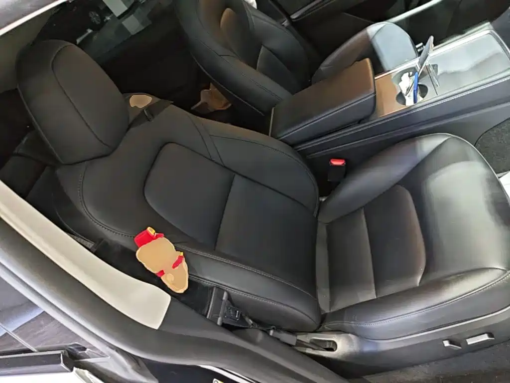 Tesla Model Y — фото 25