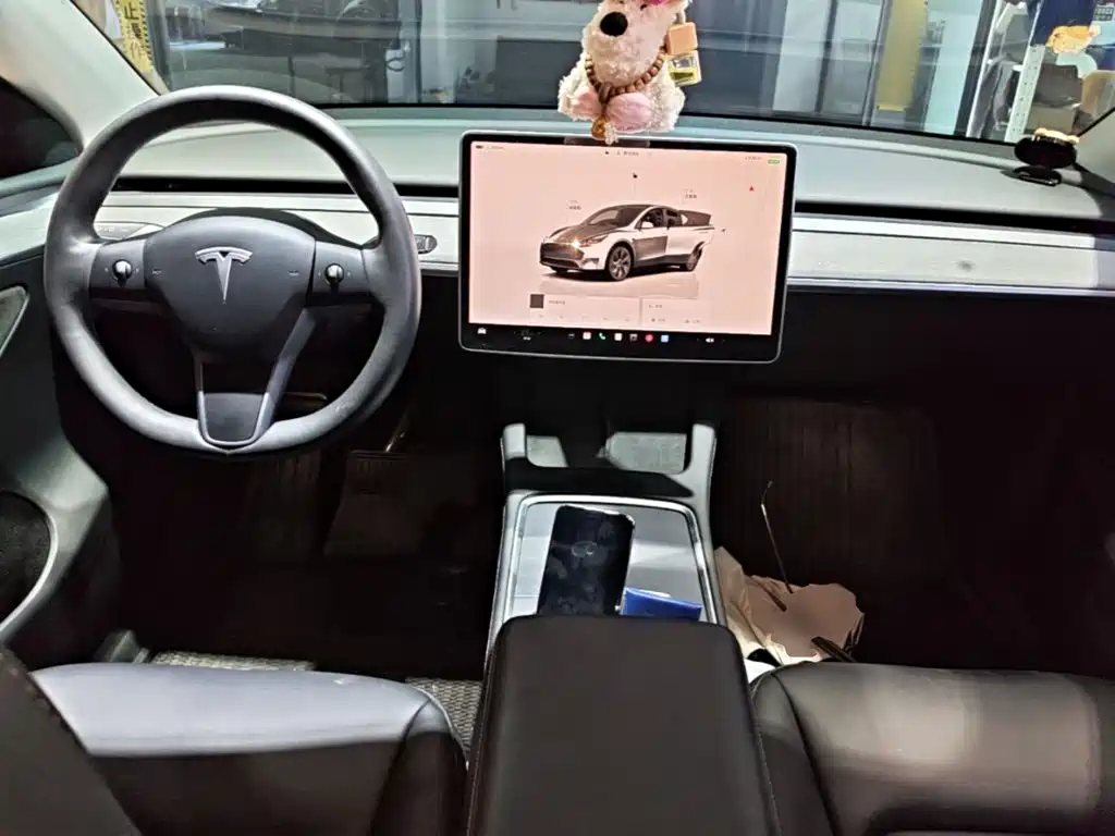 Tesla Model Y — фото 10