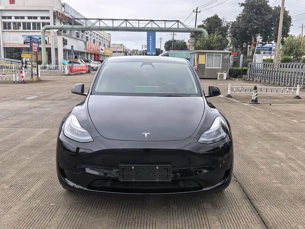 Tesla Model Y — фото 2