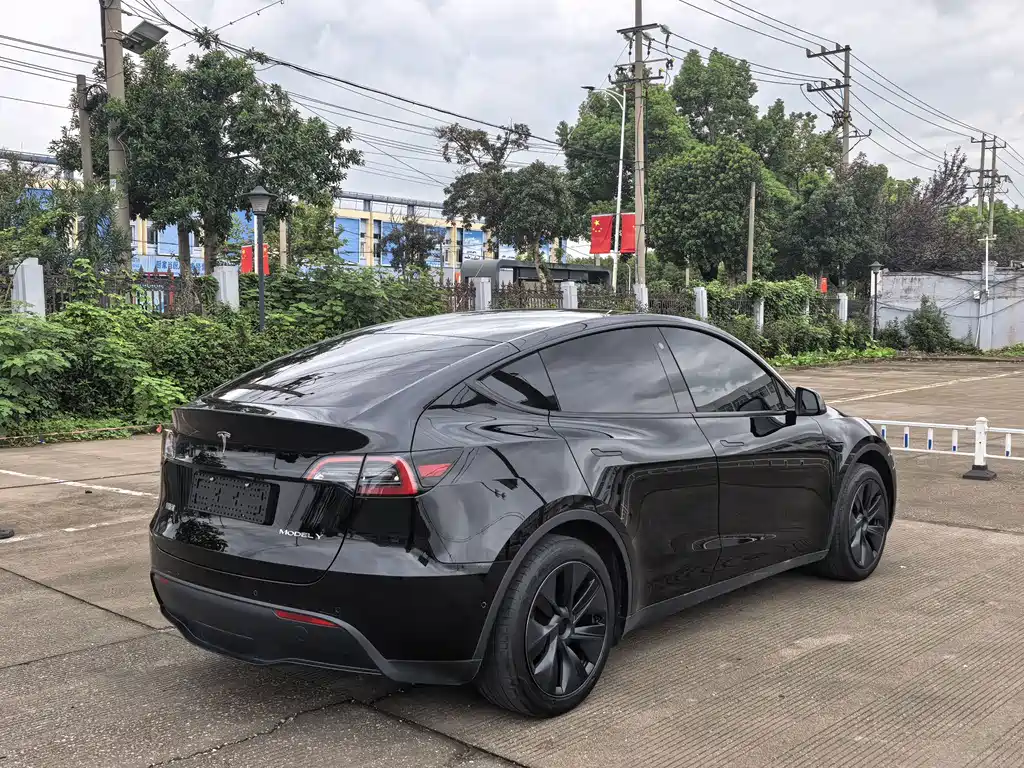 Tesla Model Y — фото 6