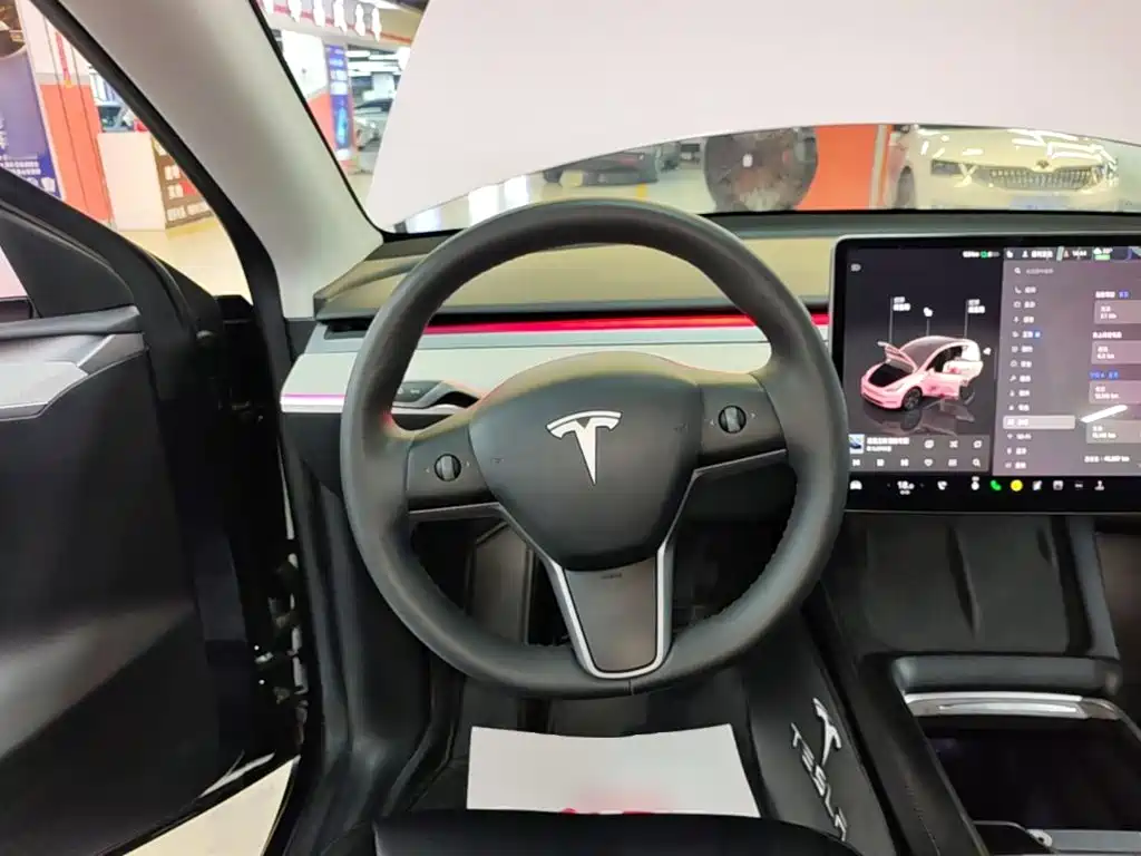 Tesla Model Y — фото 11