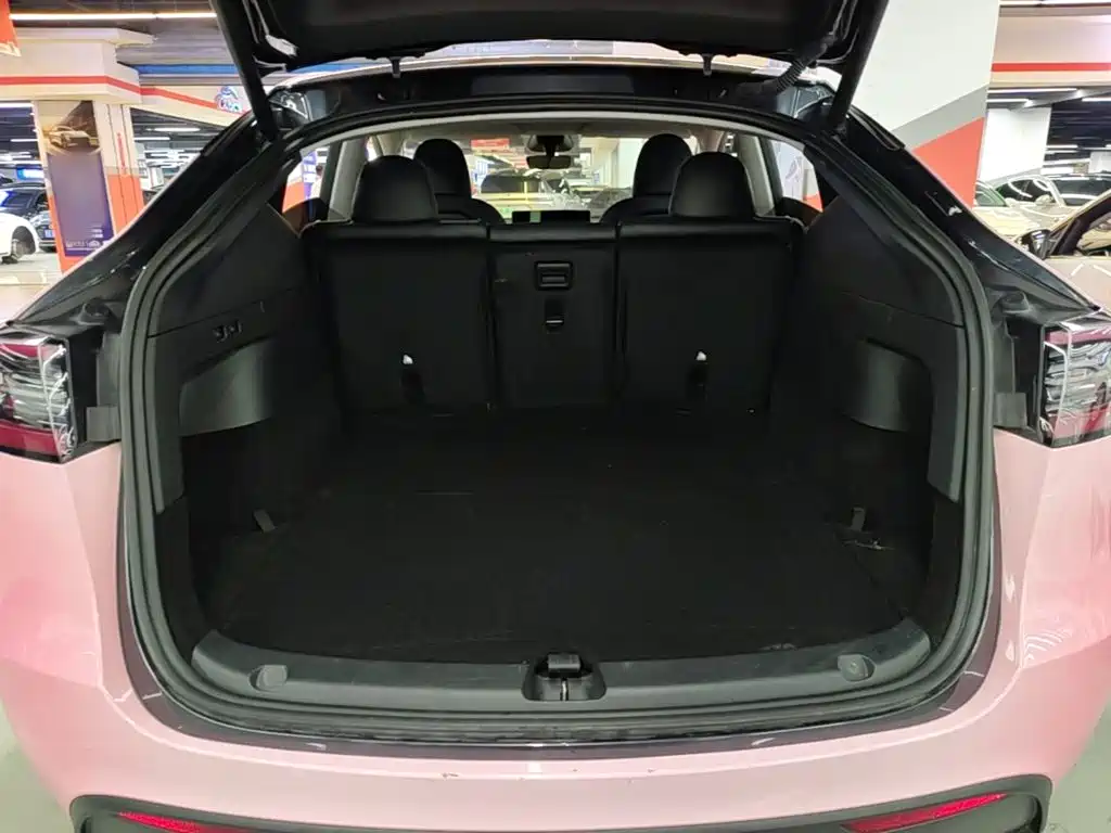 Tesla Model Y — фото 19