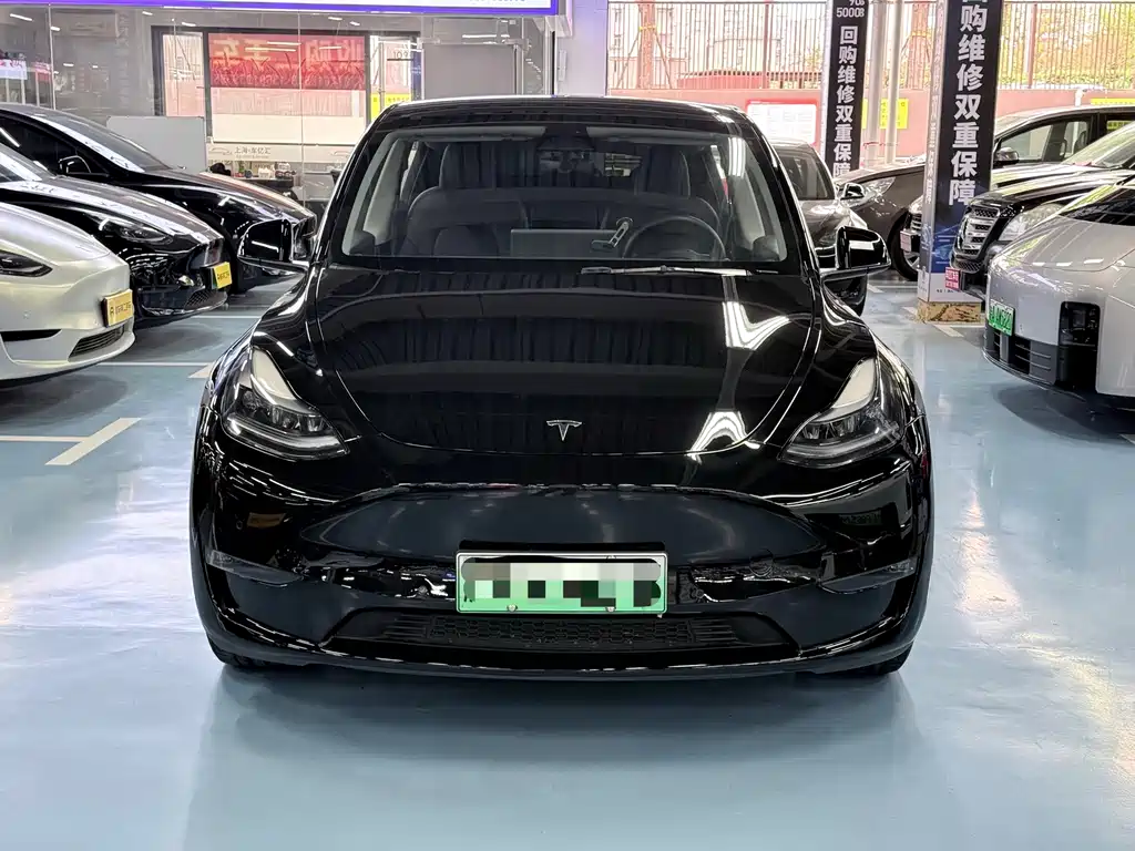 Tesla Model Y — фото 2