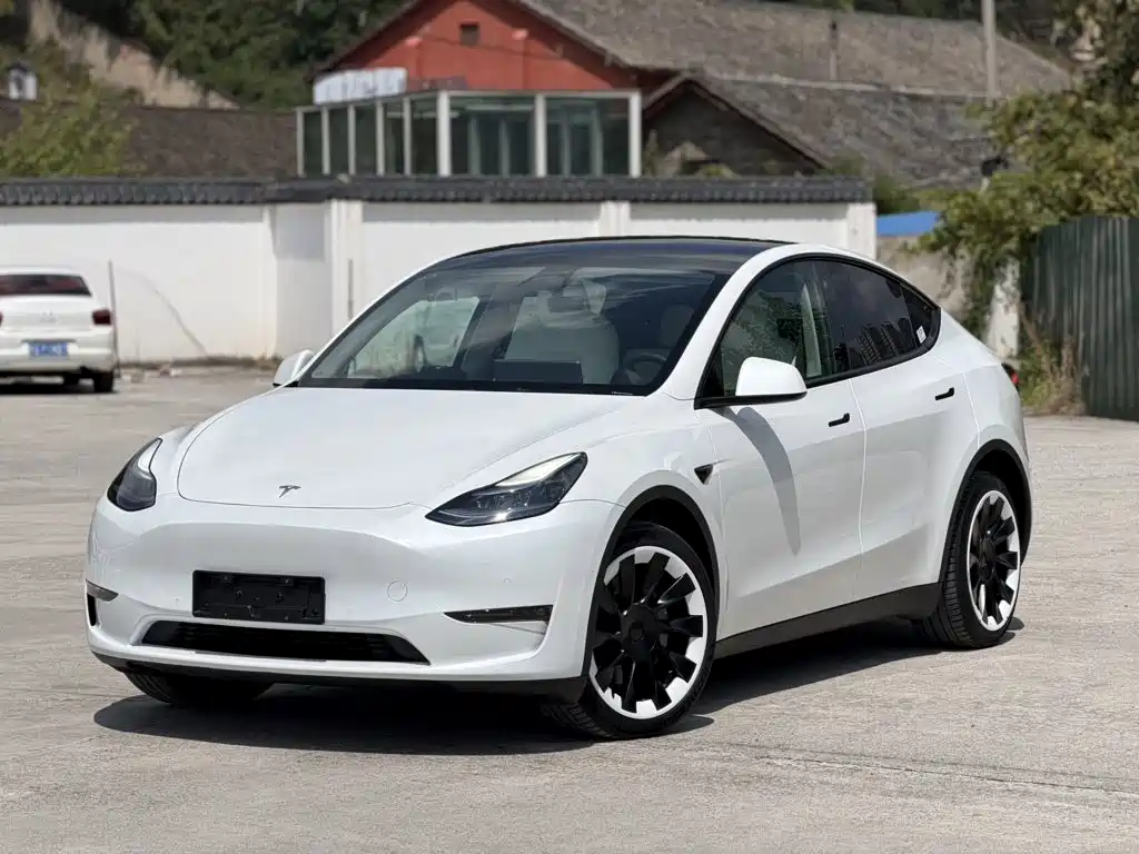 Tesla Model Y — фото 2
