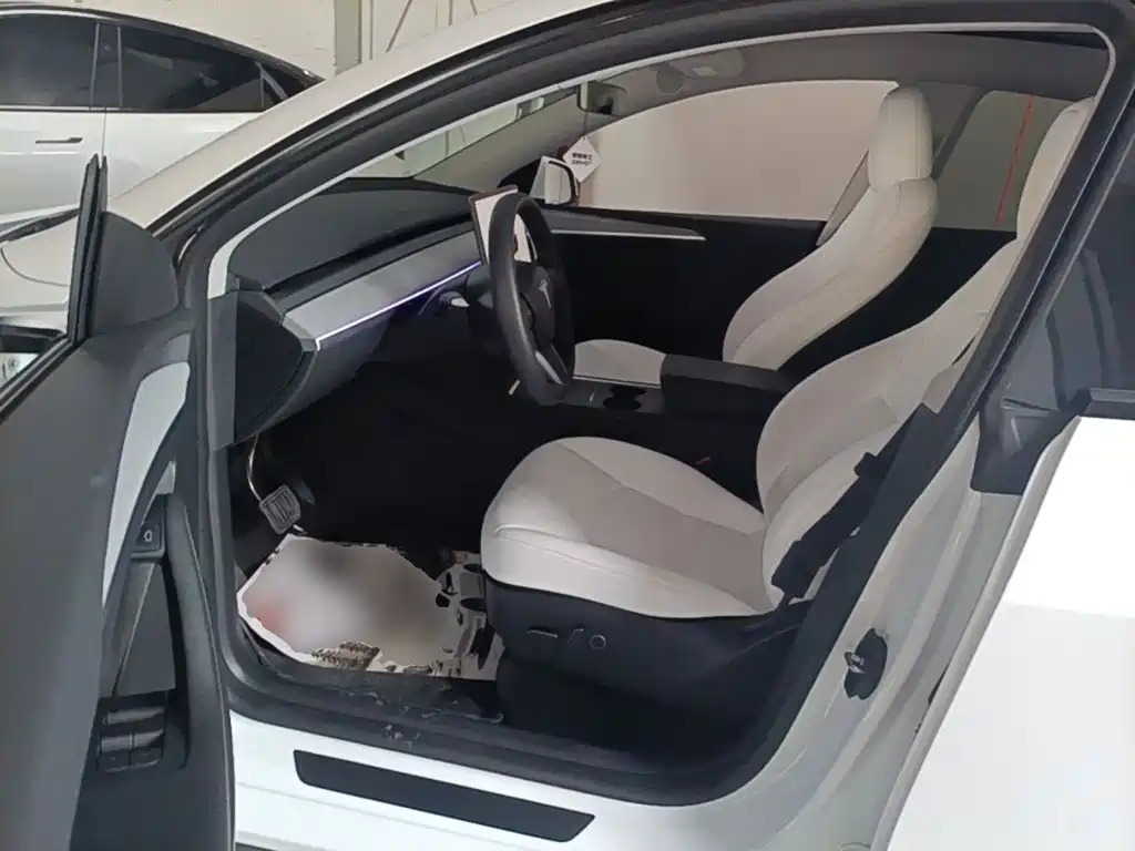 Tesla Model Y — фото 15