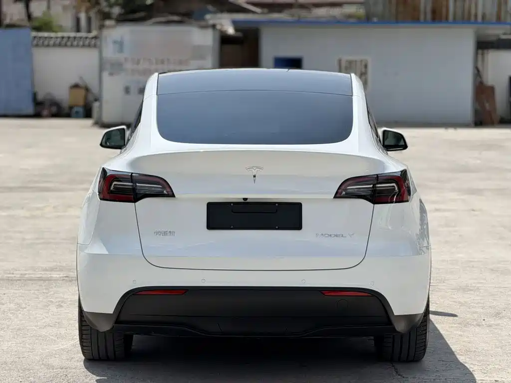 Tesla Model Y — фото 6