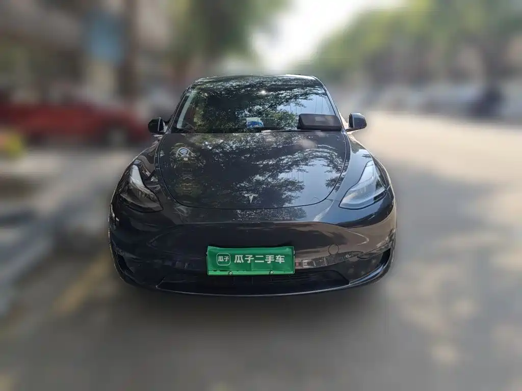 Tesla Model Y — фото 2