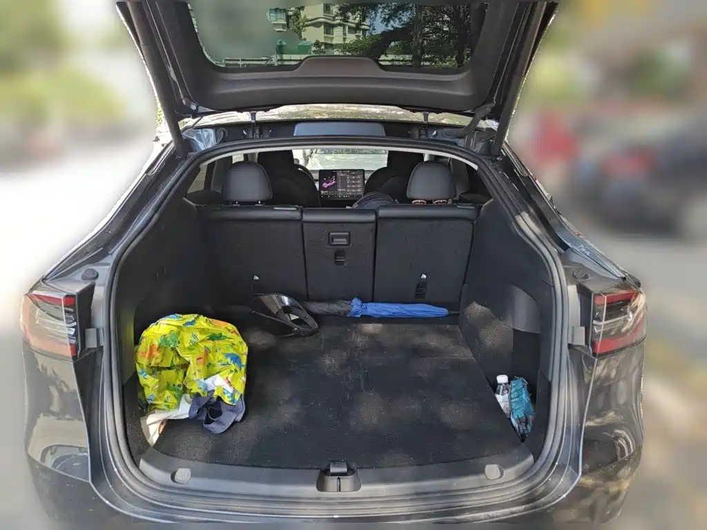 Tesla Model Y — фото 15