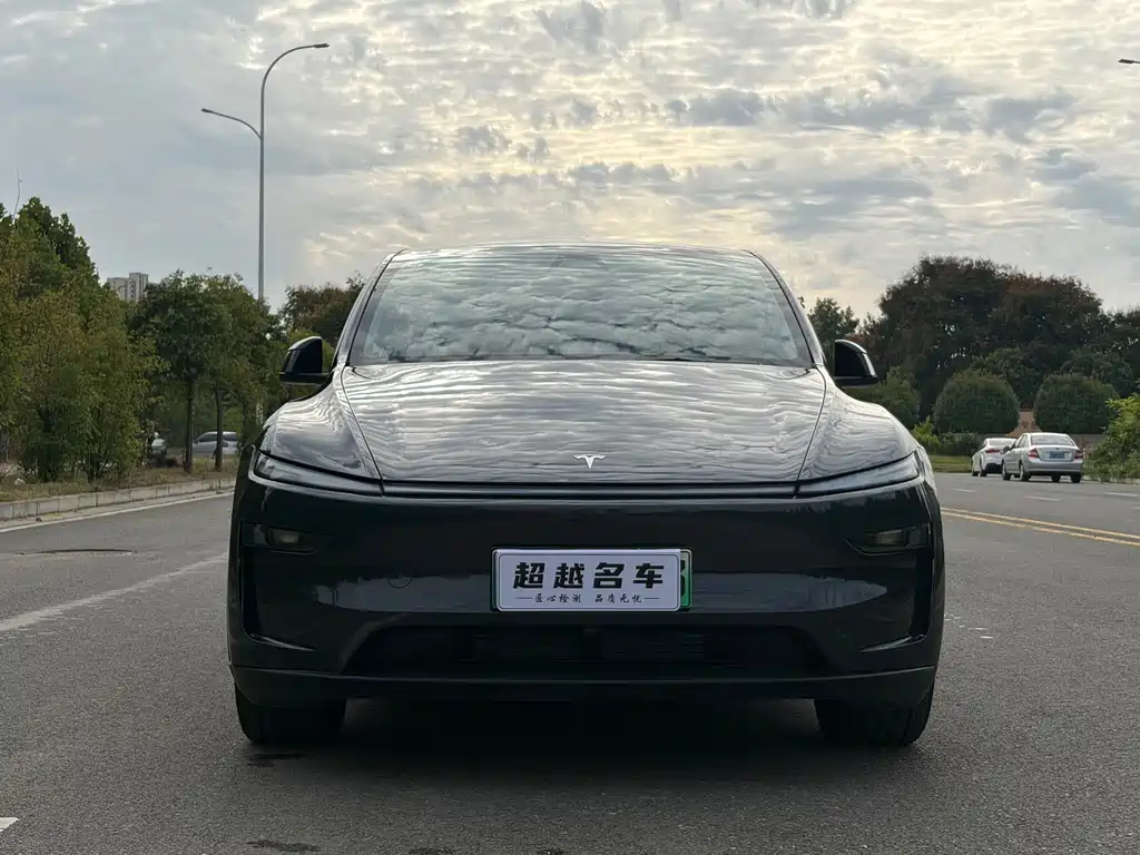 Tesla Model Y — фото 2