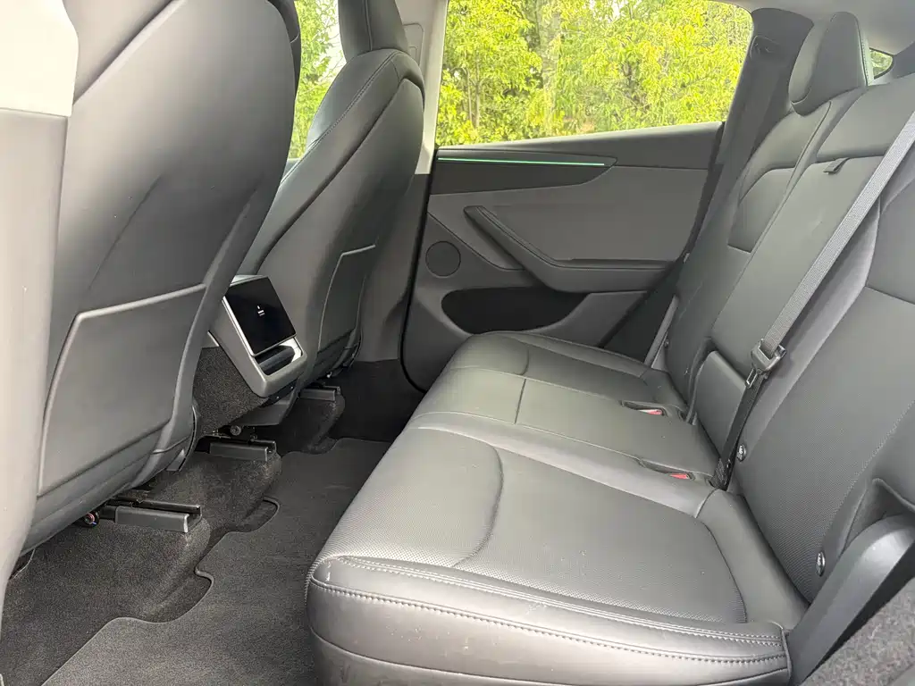 Tesla Model Y — фото 11