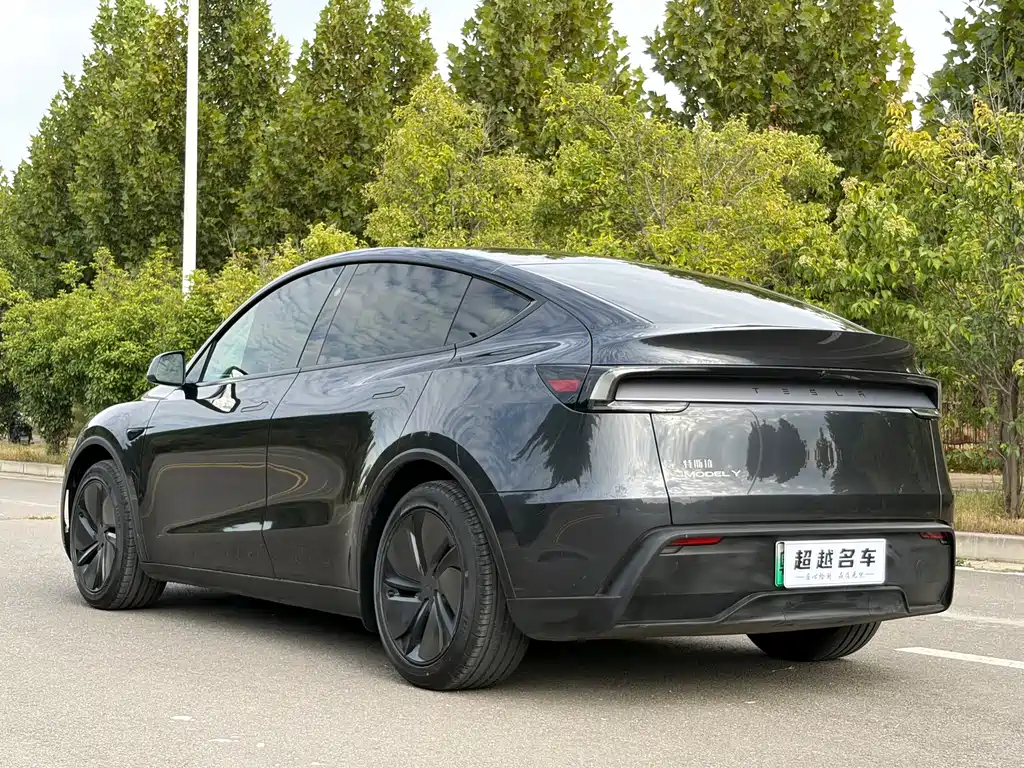 Tesla Model Y — фото 15