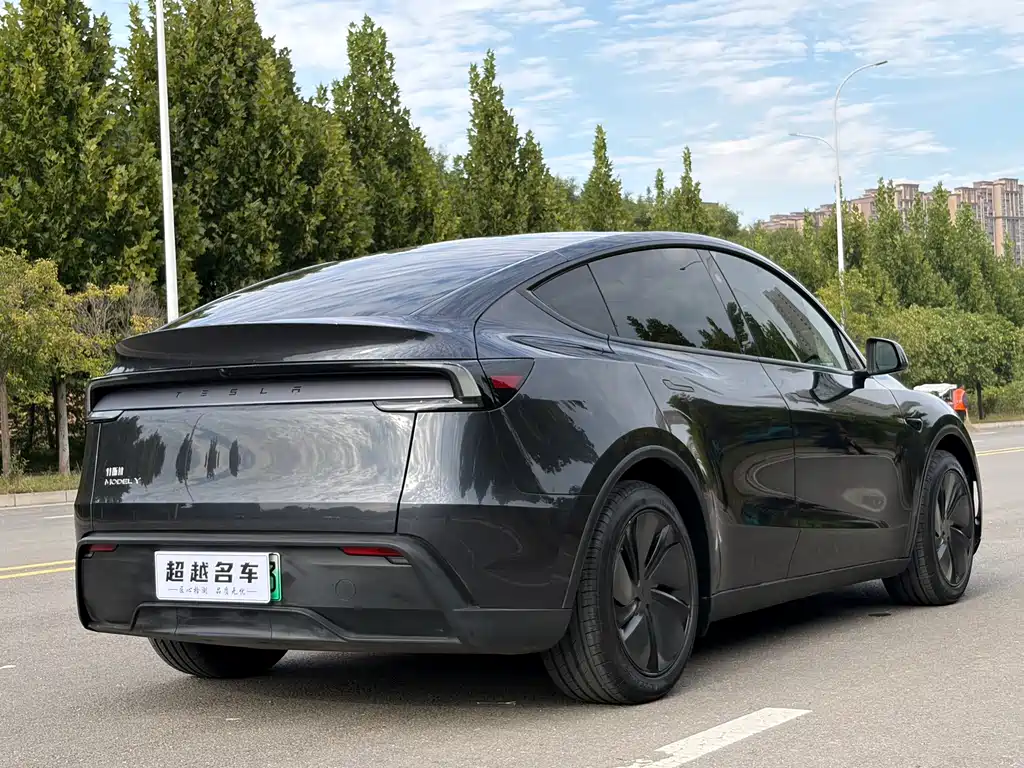 Tesla Model Y — фото 17