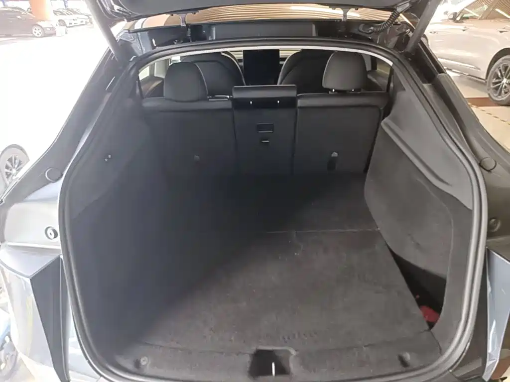 Tesla Model Y — фото 19