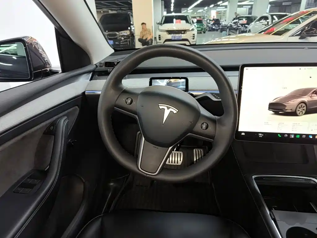 Tesla Model Y — фото 11
