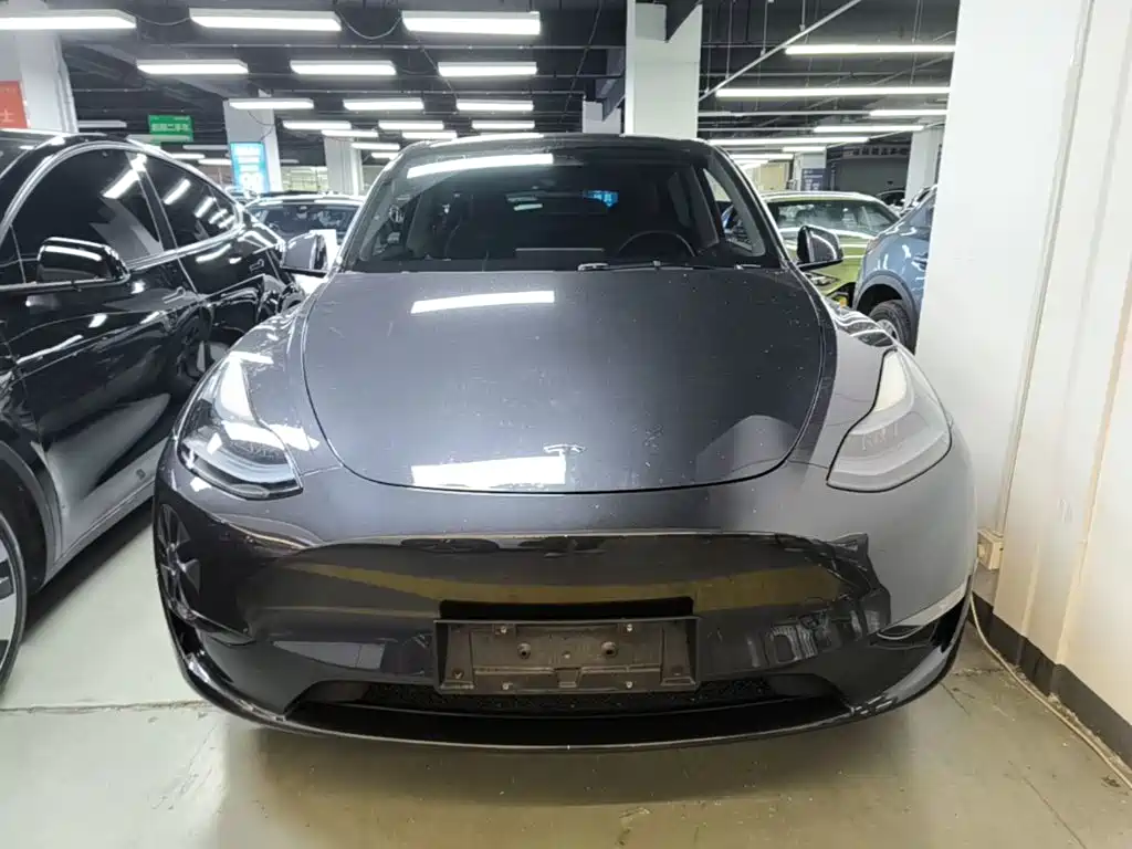 Tesla Model Y — фото 3