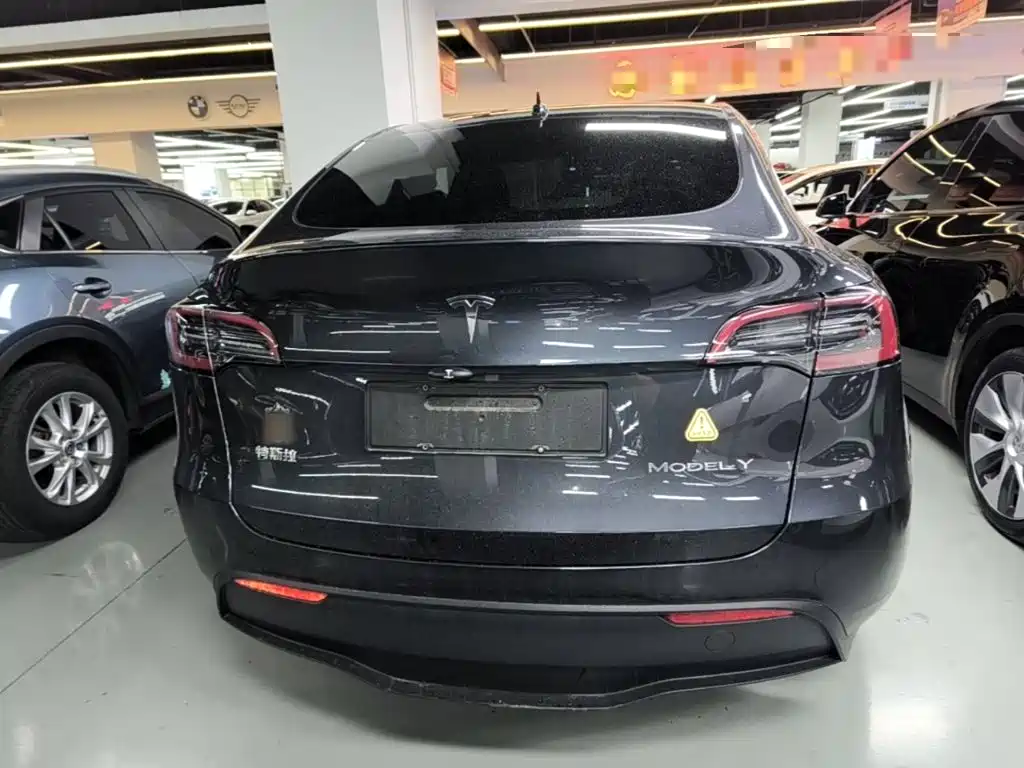 Tesla Model Y — фото 6