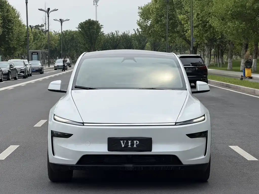 Tesla Model Y — фото 2