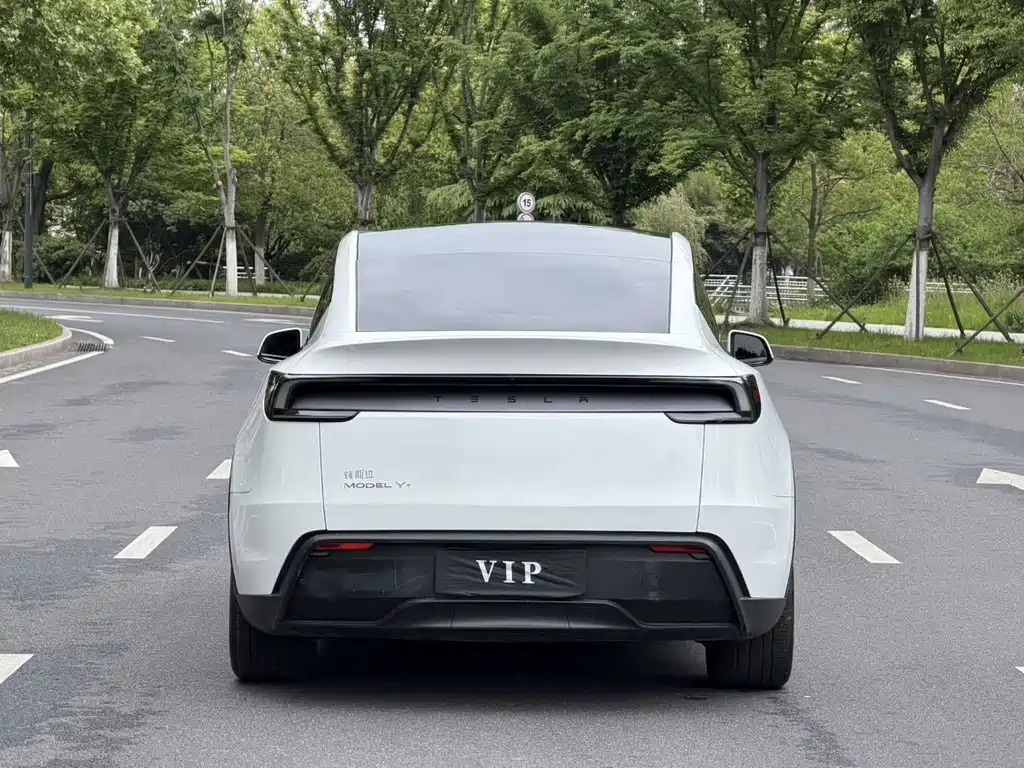 Tesla Model Y — фото 11