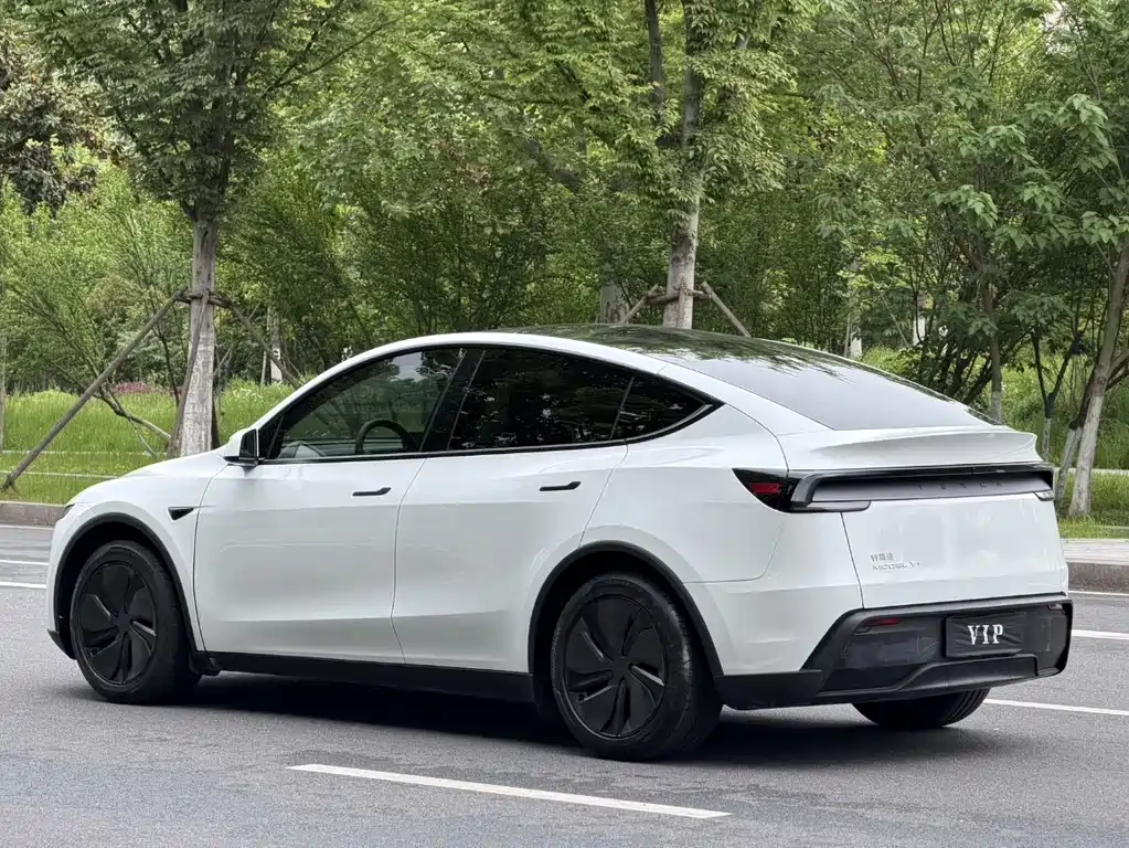 Tesla Model Y — фото 12