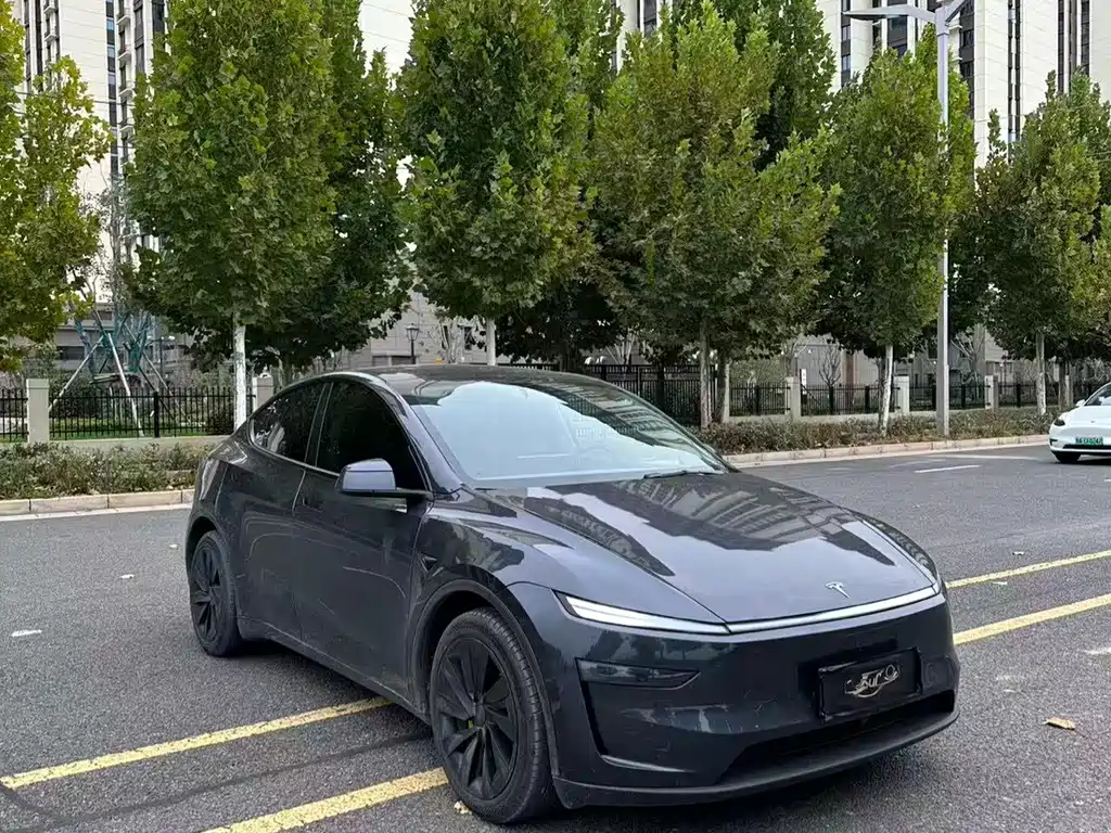 Tesla Model Y — фото 2