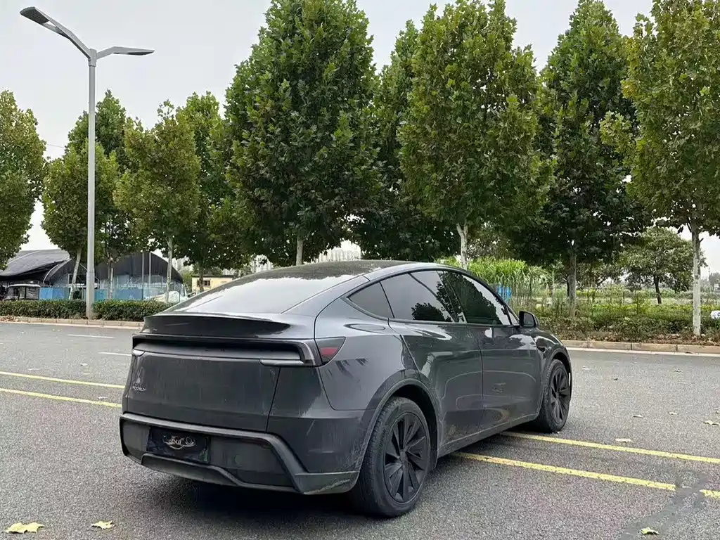 Tesla Model Y — фото 7