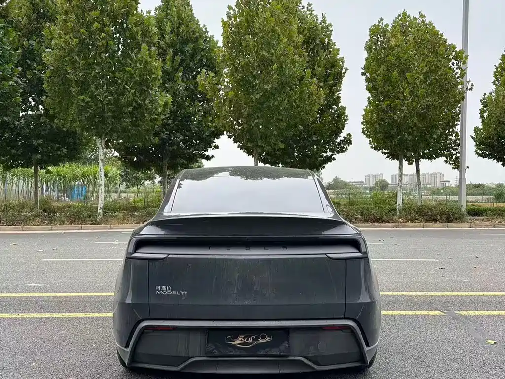Tesla Model Y — фото 8
