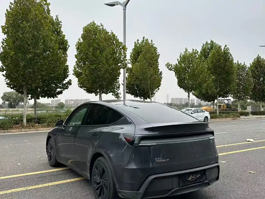Tesla Model Y — фото 9
