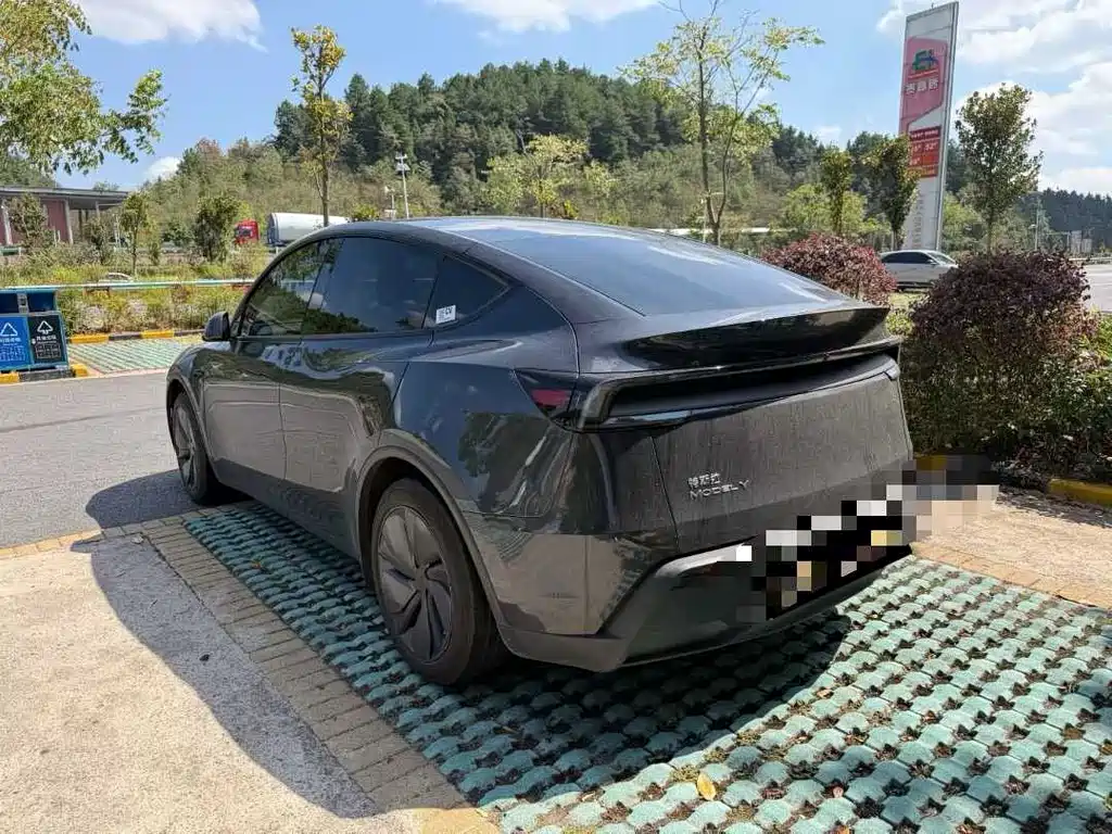 Tesla Model Y — фото 3