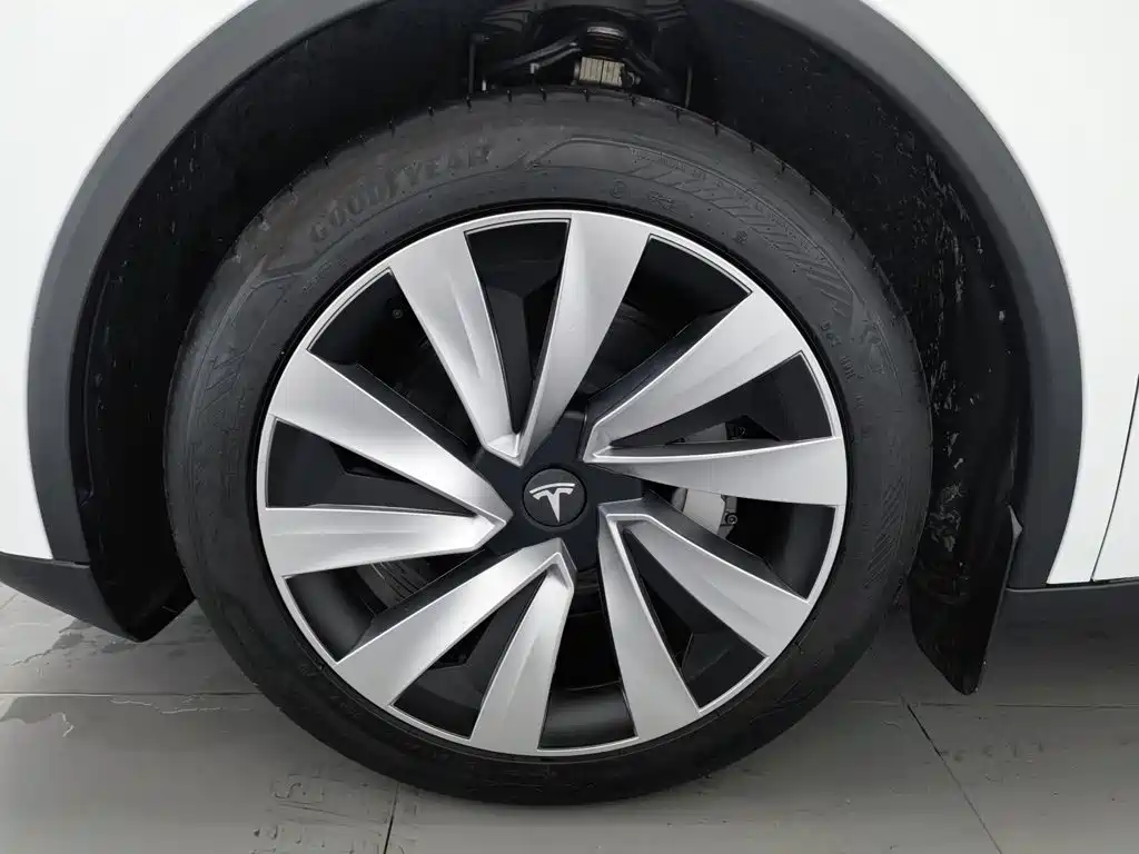Tesla Model Y — фото 17