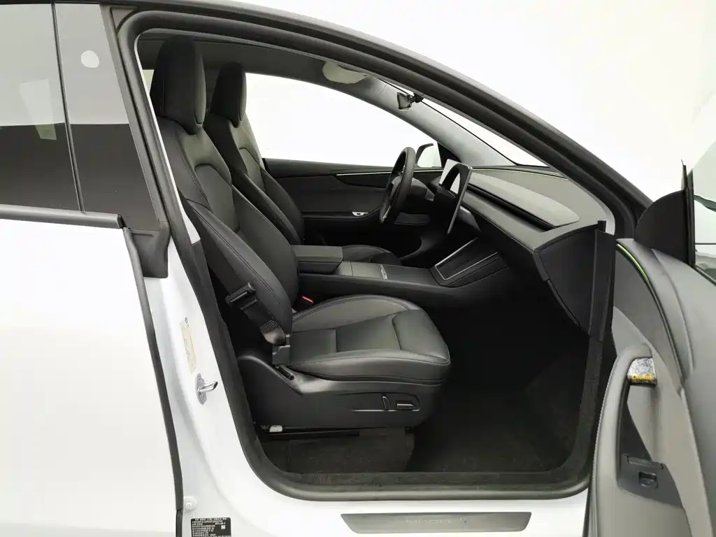 Tesla Model Y — фото 23