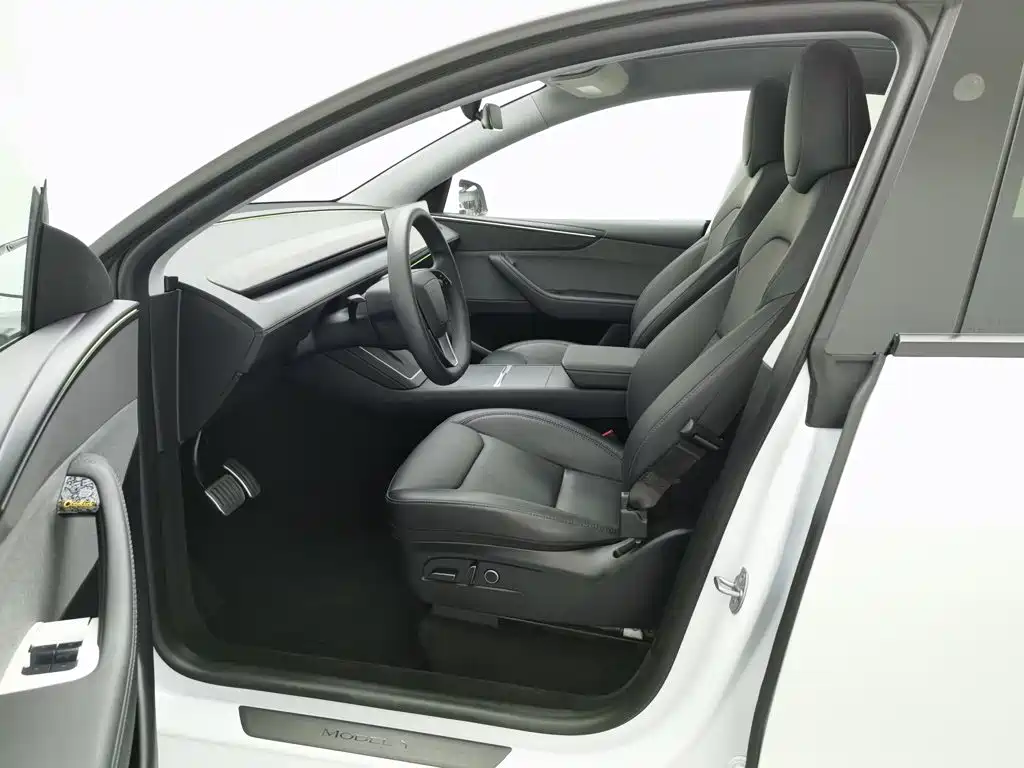Tesla Model Y — фото 10