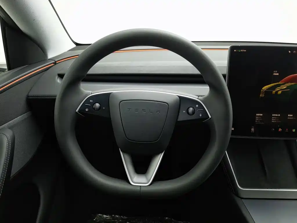 Tesla Model Y — фото 11