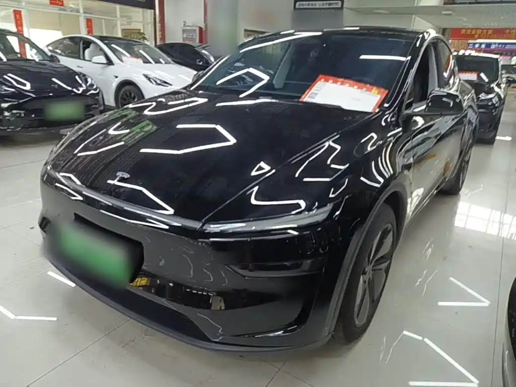 Tesla Model Y — фото 2