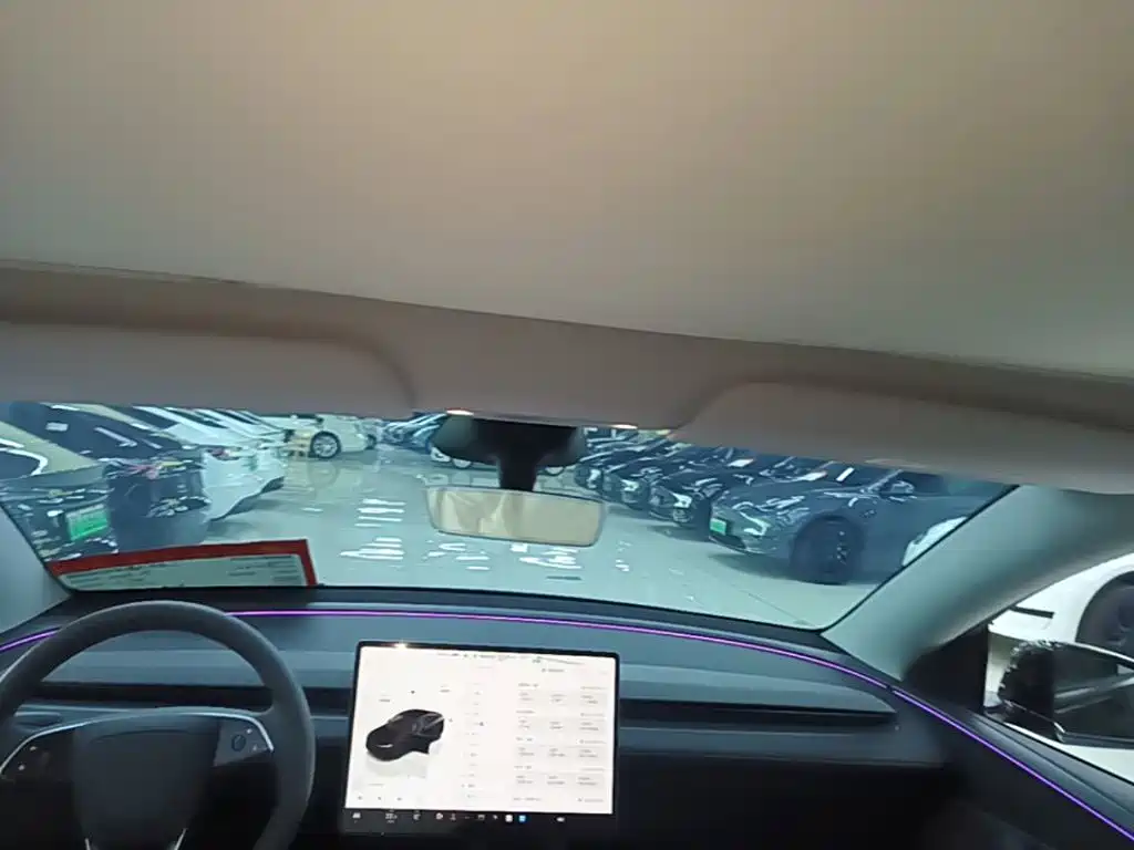 Tesla Model Y — фото 18