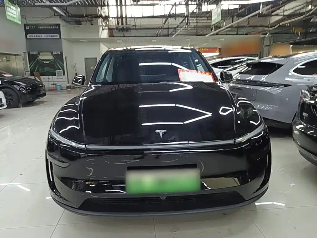Tesla Model Y — фото 3