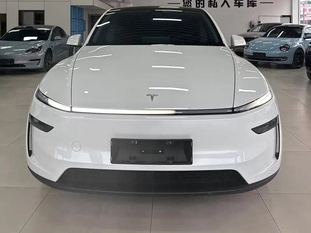 Tesla Model Y — фото 2