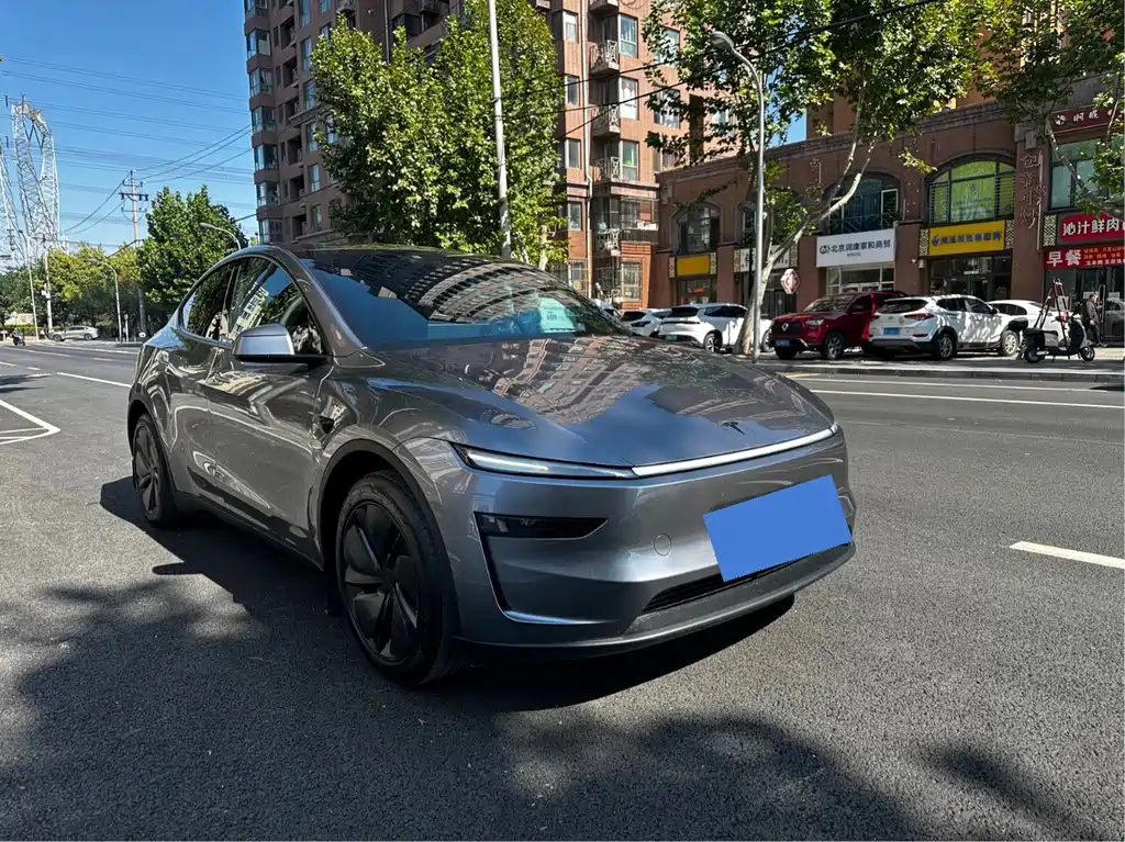 Tesla Model Y — фото 3