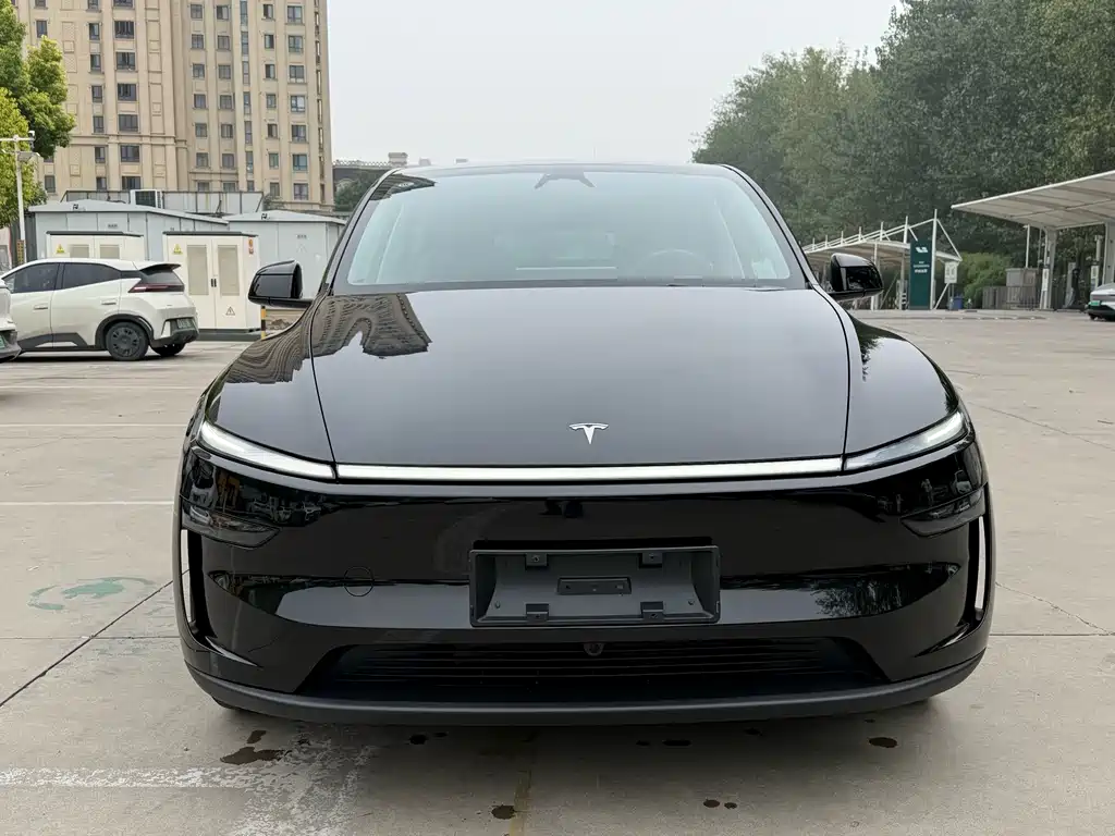 Tesla Model Y — фото 2