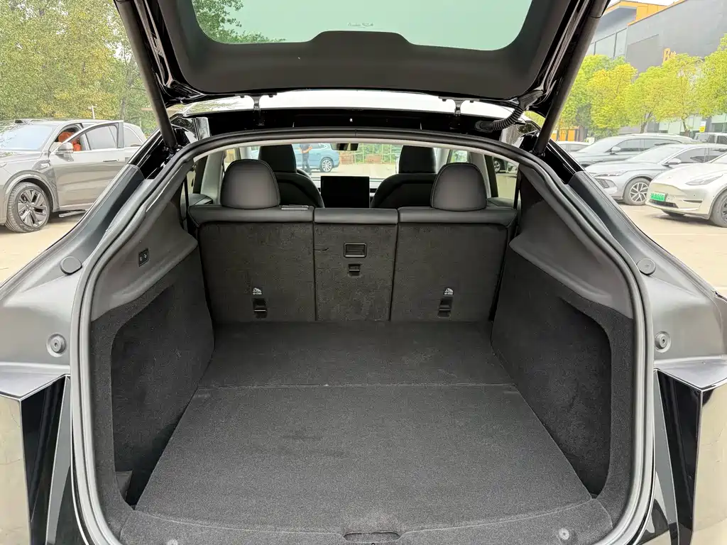 Tesla Model Y — фото 14