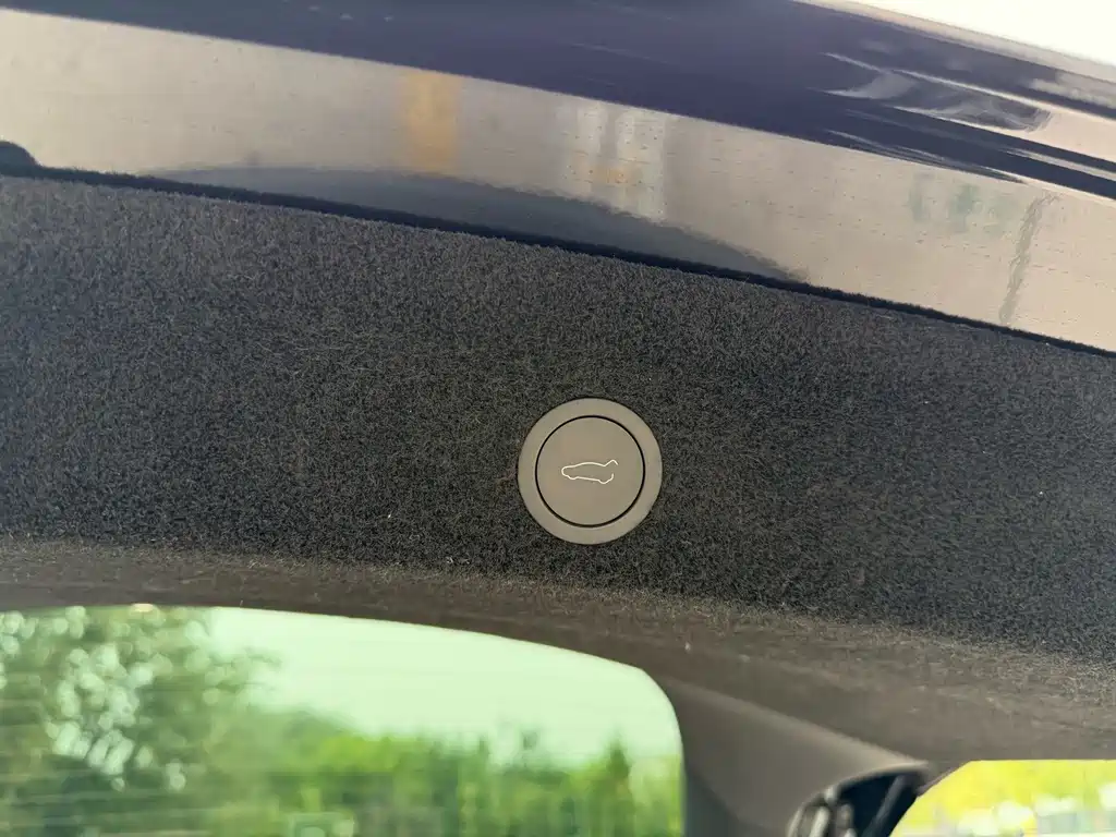 Tesla Model Y — фото 15