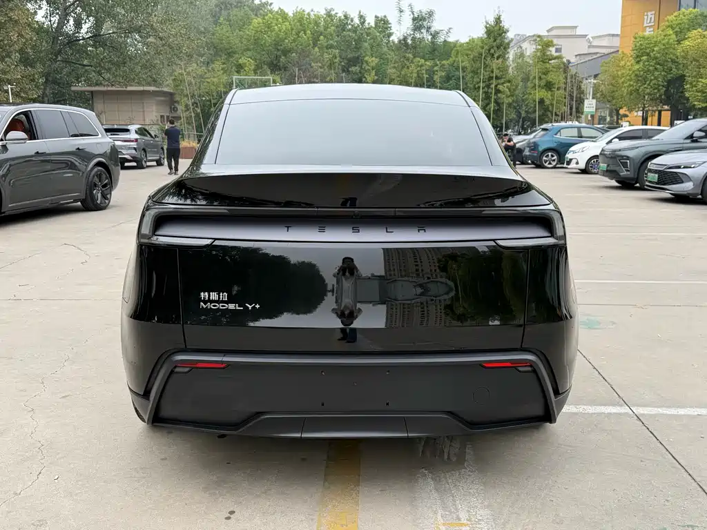 Tesla Model Y — фото 18