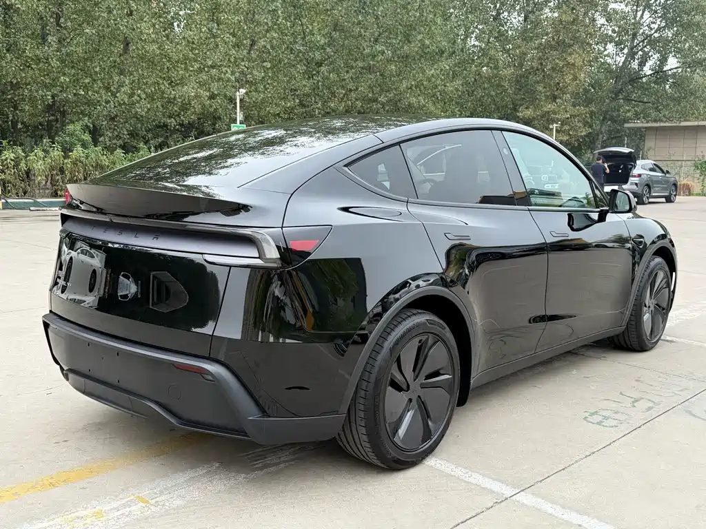 Tesla Model Y — фото 19
