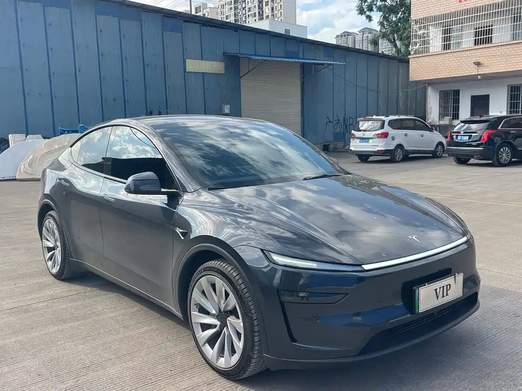 Tesla Model Y — фото 3