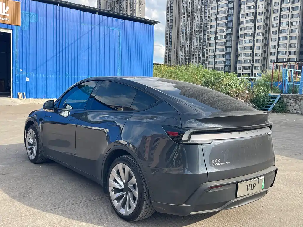 Tesla Model Y — фото 6